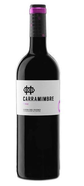 Carramimbre Roble, juventud madura de un tinto bien armado