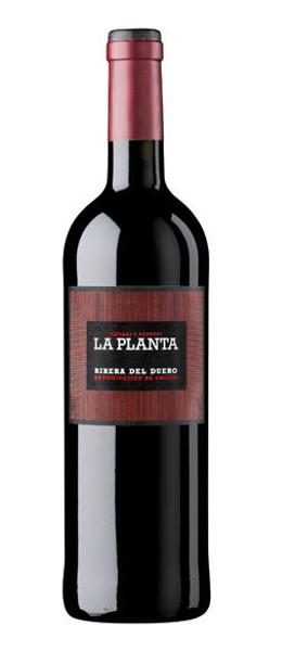 La Planta 2020, fresco, versátil y muy afrutado