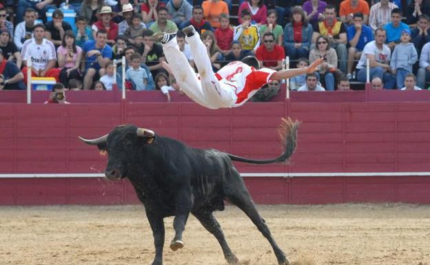 Fresno el Viejo celebrará un concurso de cortes taurinos el 19 de junio