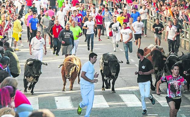 Los pueblos segovianos aún ven lejana la posibilidad de organizar encierros este verano