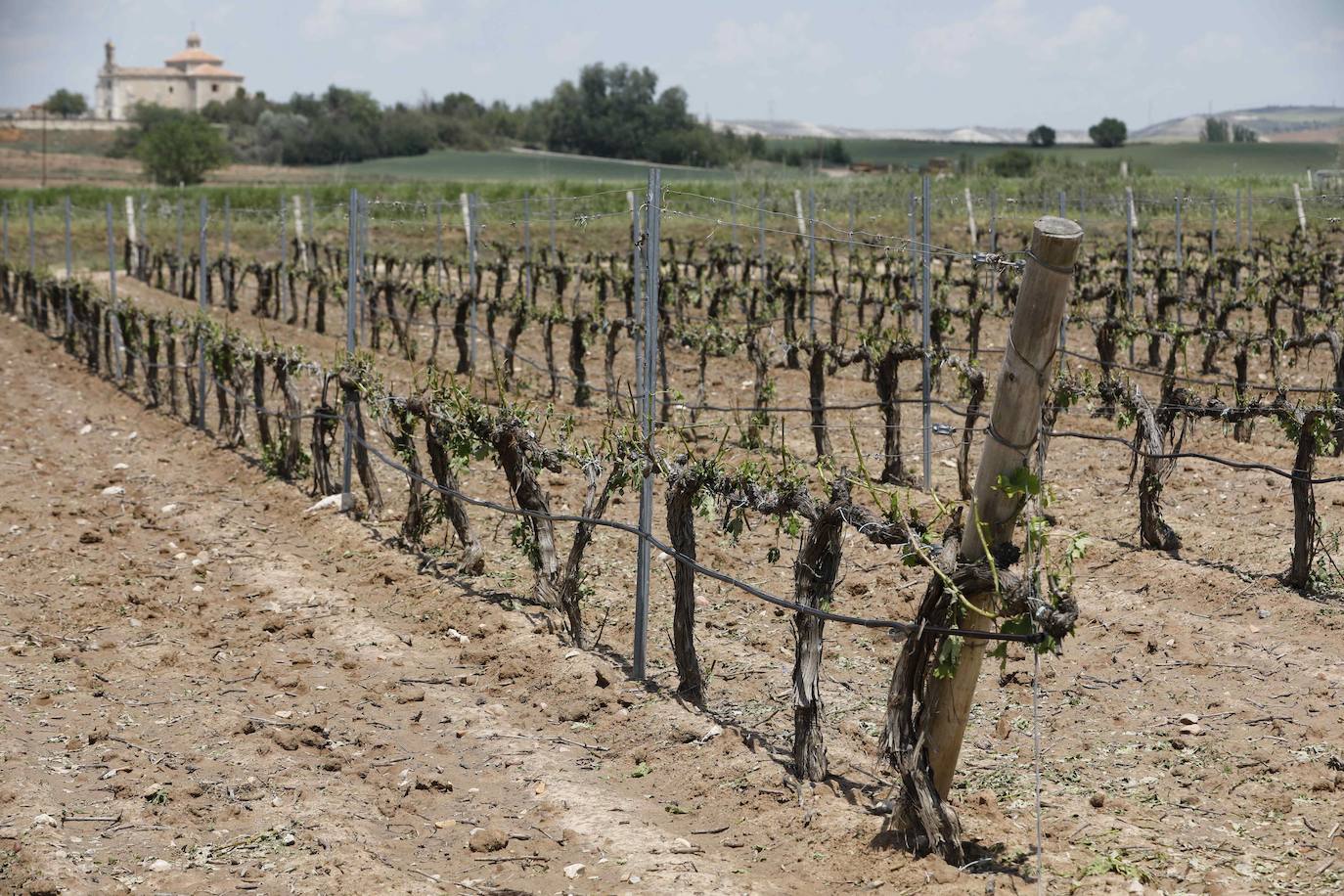 La inestabilidad marcará el inicio de junio con «fuertes granizadas» previstas para hoy en Valladolid