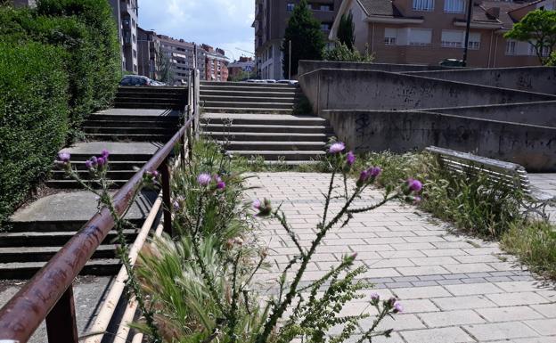 El veto a los herbicidas químicos ralentiza la retirada de maleza de calles y parcelas en Valladolid