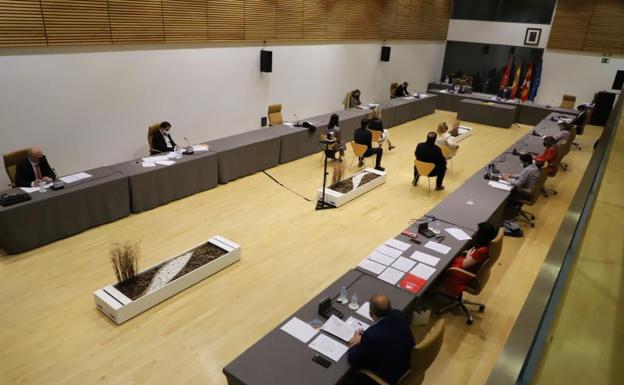 El pleno de Salamanca da luz verde a los consejos de zona en una sesión con bronca por los indultos