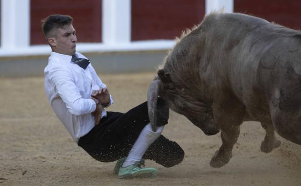 Cristian Rubio se sobrepone a dos cogidas para ganar el concurso de cortes en la vuelta de los toros a Valladolid