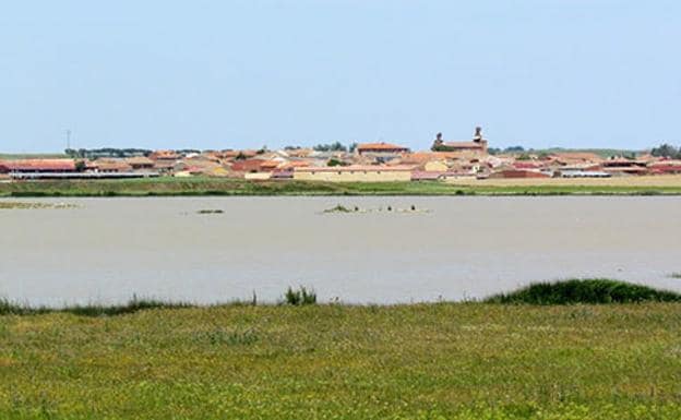 Un estudio de la Usal señala las aguas subterráneas como el origen de la salinidad de las lagunas de Villafáfila