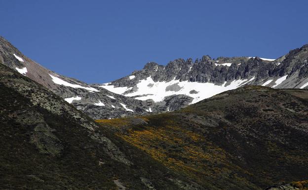 Ecologistas dice que los responsables del Parque y la Reserva de Fuentes Carrionas sabían que la osa abatida en Ventanilla estaba cerca de la cacería