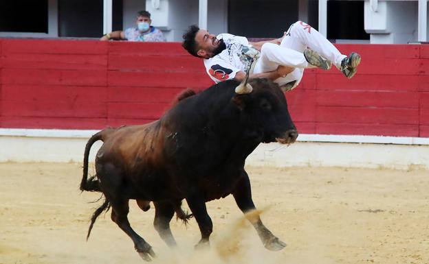 Eusebio Sacristán 'Use', herido en el concurso de Cortes de Medina