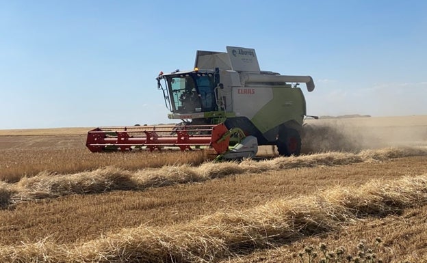 El tiempo esta semana: de nuevo se anuncian tormentas que complican la siega de cereal