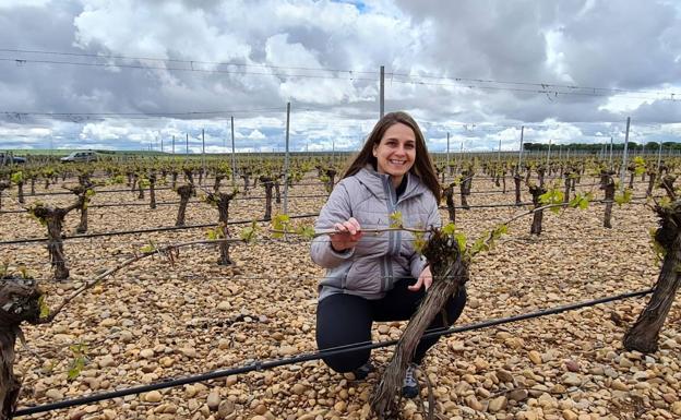 Palacio de Bornos, primera bodega española en recibir la acreditación Ecomethod por reducir la huella de carbono