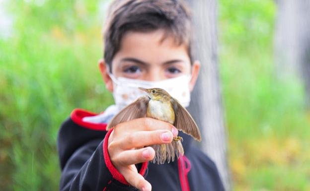 Pájaros que vuelan desde Castronuño a Senegal