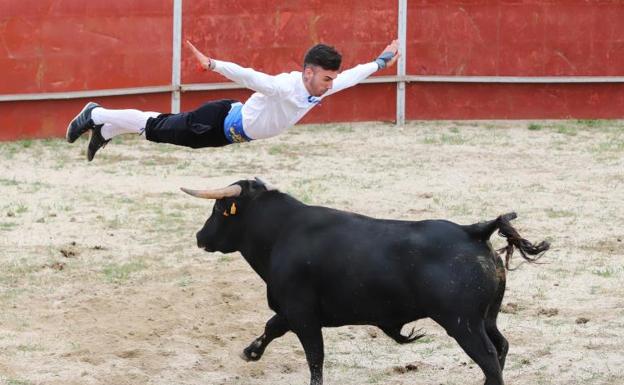 La afición taurina vuelve a disfrutar con el espectáculo de recortes en Carrascal de Barregas