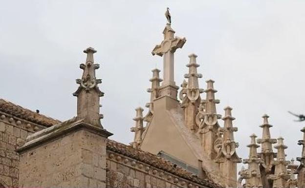 Descubre en menos de un minuto de qué calle de Palencia se trata