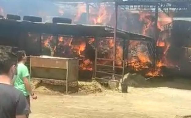 Arden 2.000 paquetes de forraje en la ganadería Hermanos Caminero Fernández de Carrión de los Condes