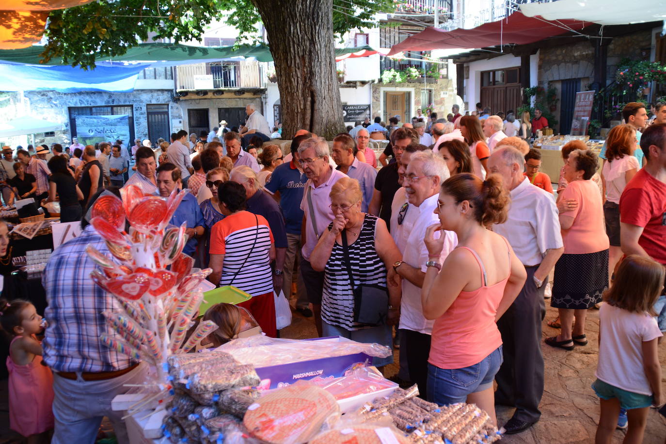 La Diputación destina 150.000 euros a ferias, exposiciones y concursos agrícolas y ganaderos