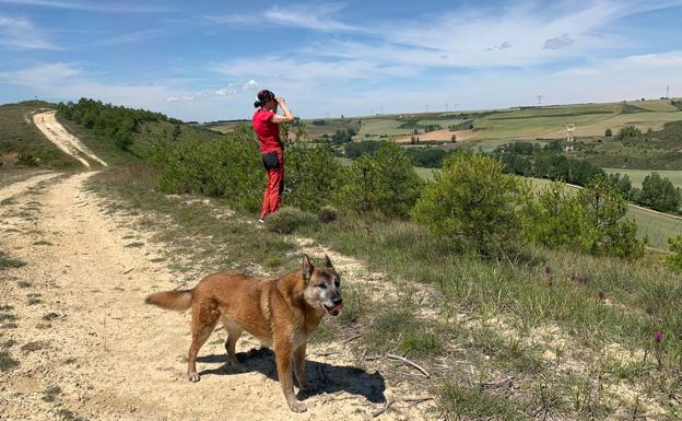 Localizado en la zona de Pisones el septuagenario desaparecido en Burgos