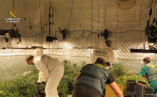 Seis detenidos por cultivar marihuana en el interior de camiones en Salamanca, Zamora y Valladolid