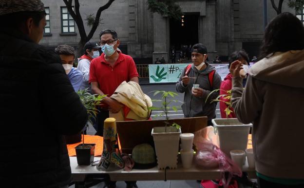 La Corte Suprema de México despenaliza el uso lúdico de la marihuana