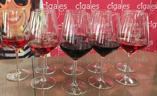 Vídeo: 'Catando con Cigales' lleva a su casas otros dos rosados y un nuevo tinto