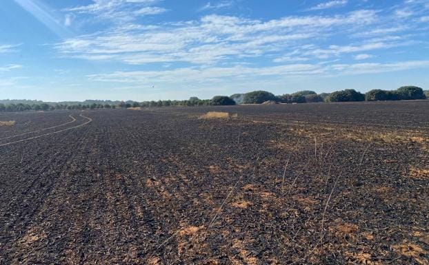 Un incendio entre Urueña, La Santa Espina y San Cebrián calcina varias tierras de cultivo