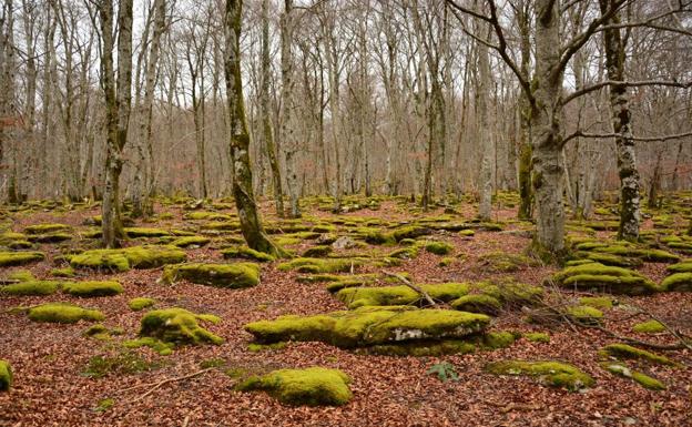 El Monte Santiago, una visita obligada