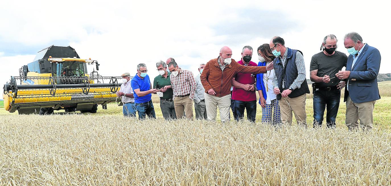 Las organizaciones agrarias esperan «no perder ni un euro» de las ayudas de la PAC