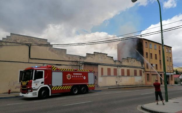 El incendio de un solar descubre droga y galgos enjaulados en Burgos