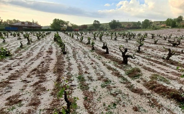 Castilla y León, segunda comunidad más afectada por el pedrisco en junio