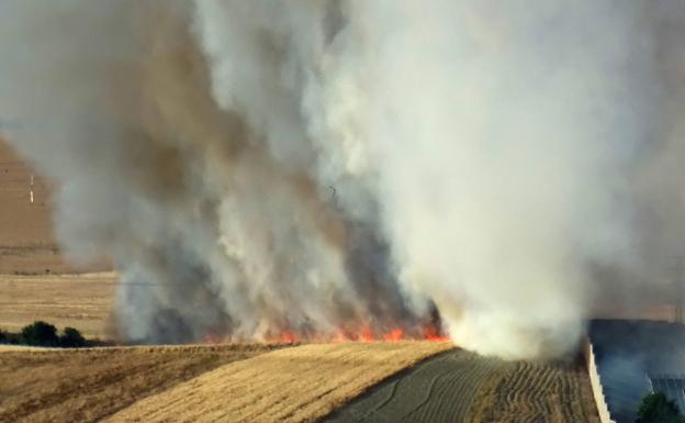 El incendio de Zaratán de este martes carbonizó 11,5 hectáreas