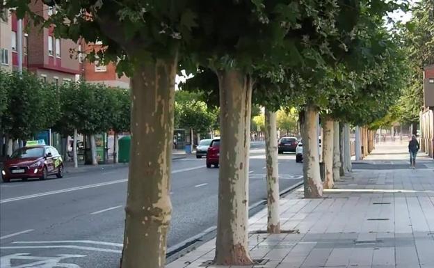 Descubre en menos de un minuto de qué calle de Palencia se trata