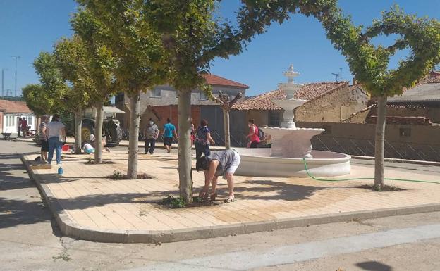 Vecinos de Torrelobatón embellecen en familia los alcorques de su pueblo