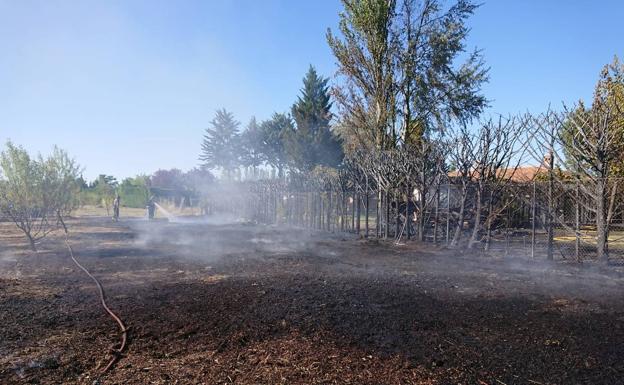 La electrocución de una cigüeña causa un incendio en un campo de cereal de Fuensaldaña