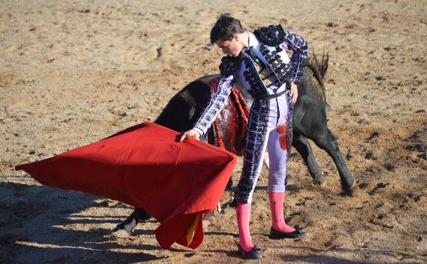 Cigales despide las fiestas de Santa Marina con el triunfo del novillero Tristán Barroso