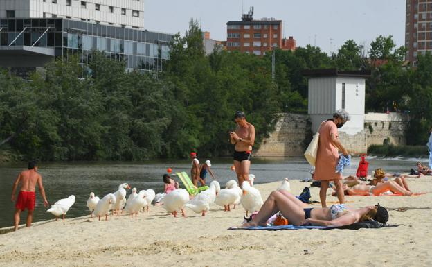 Valladolid entrará el miércoles en alerta amarilla por calor