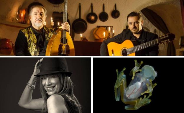 Los mejores planes para este fin de semana en Valladolid