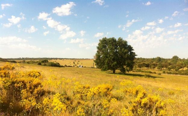 Berkeley presenta al Miteco un informe de mejora del proyecto de Retortillo en Salamanca