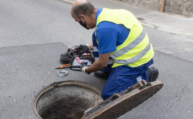 Segovia incrementa la frecuencia del tratamiento de plagas con controles cada quince días