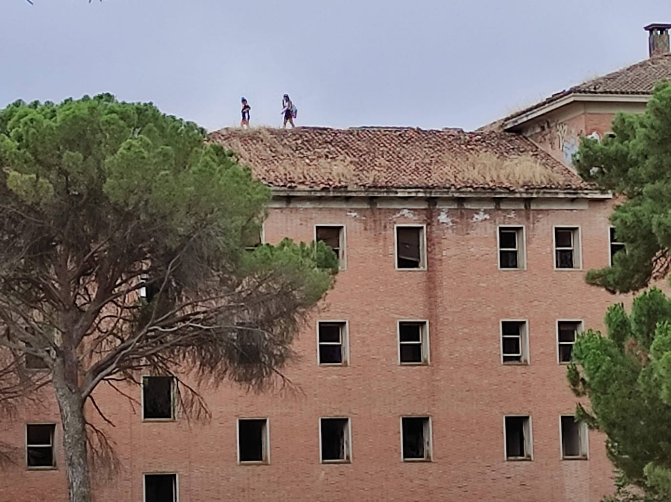 El escalofriante vídeo del desafío viral a más de 20 metros de altura