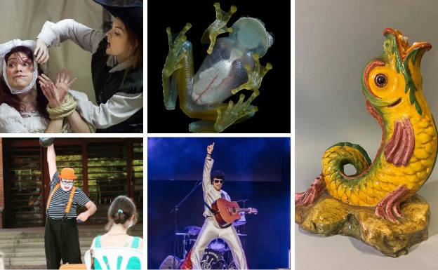 Los mejores planes para este fin de semana en Valladolid