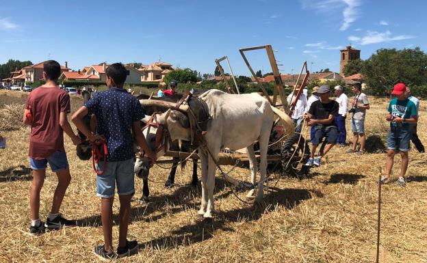 Tiempo de los vecinos de Castrillo de Villavega