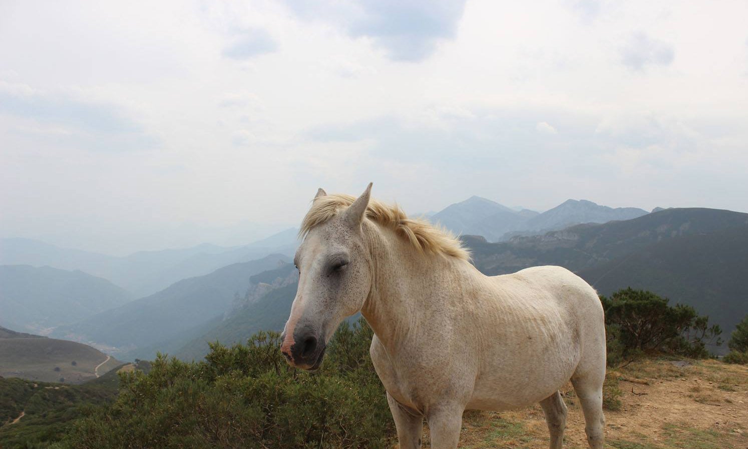 Picos de Europa para principiantes