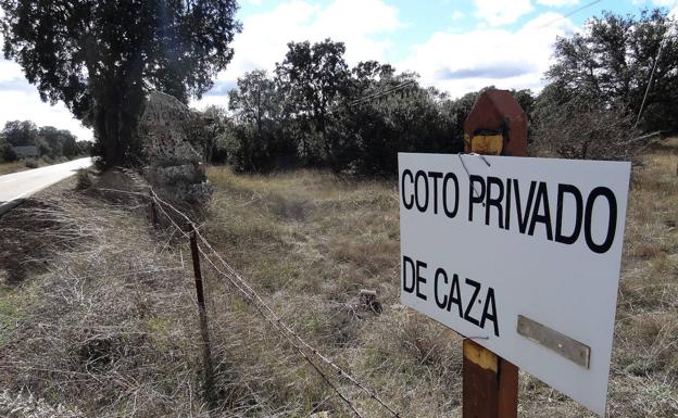 El juzgado establece una fianza de 8.000 euros y juicio contra un furtivo que cazó un corzo en la Montaña Palentina