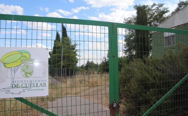 El Ayuntamiento de Cuéllar planea la creación de huertos urbanos en el antiguo vivero municipal