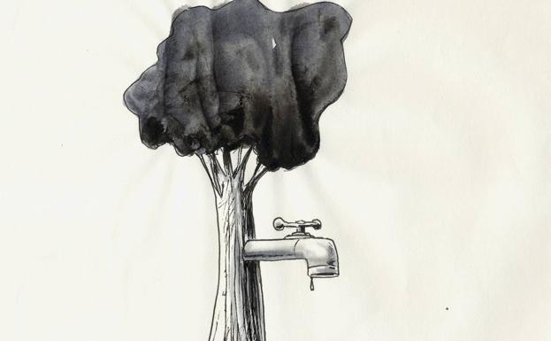 La gestión del agua