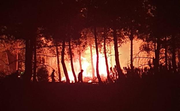 Arden nueve hectáreas de un pinar en la localidad vallisoletana de Hornillos de Eresma