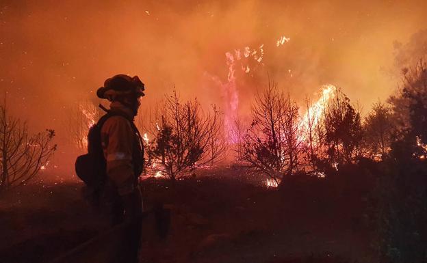 Desciende a nivel 0 el incendio forestal de El Tiemblo