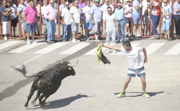 Los ganaderos estallan tras otro año en blanco: «Que no haya encierros es la muerte»