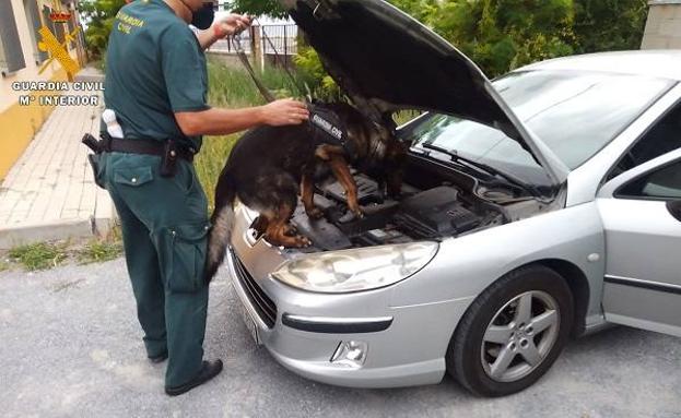 Sorprendido mientras transportaba 18 kilos de hachís en su coche por la AP-6