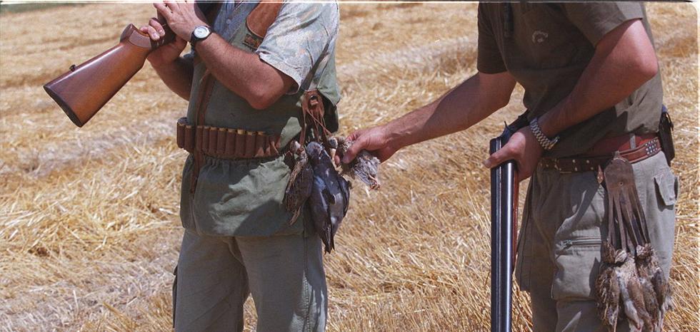 El próximo 15 de agosto comienza la media veda en Castilla y León - Vimarsana News