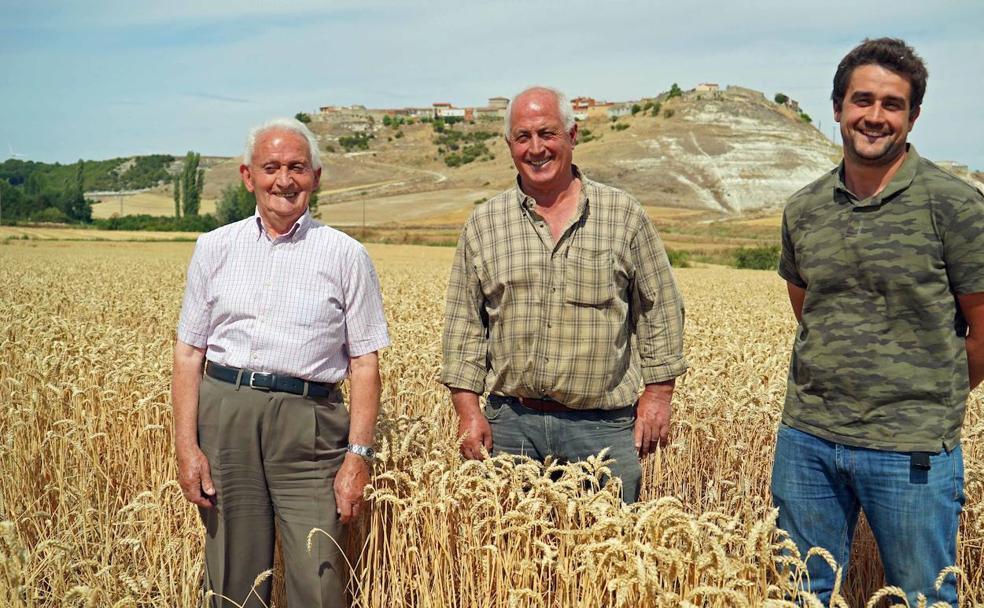 Los Real, una saga dedicada al campo