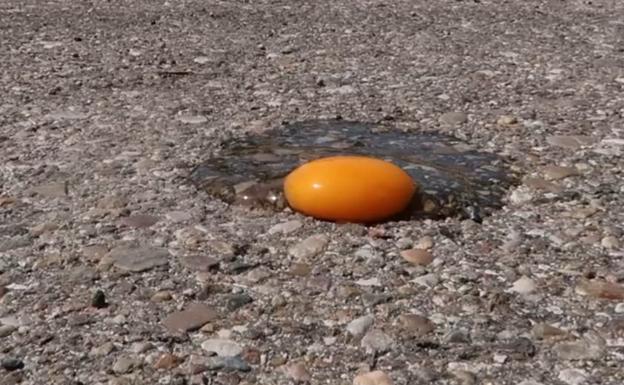 Vídeo: ¿se puede freír un huevo en el asfalto de Valladolid con este calor?